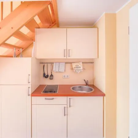 Schneeeule 201 Granzow