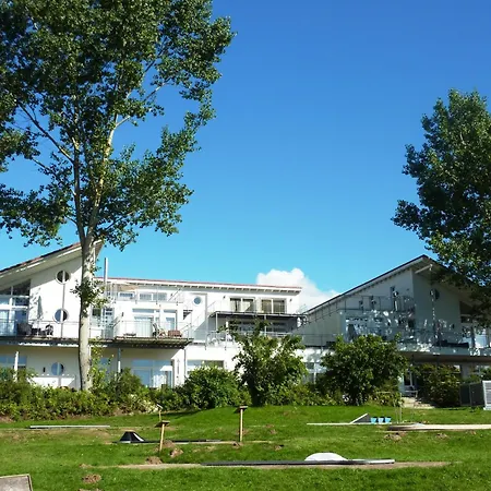 Schneeeule 201 Granzow